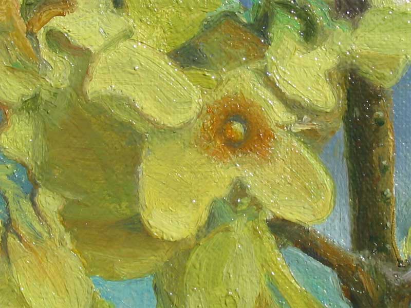 the seasons slip from one to another