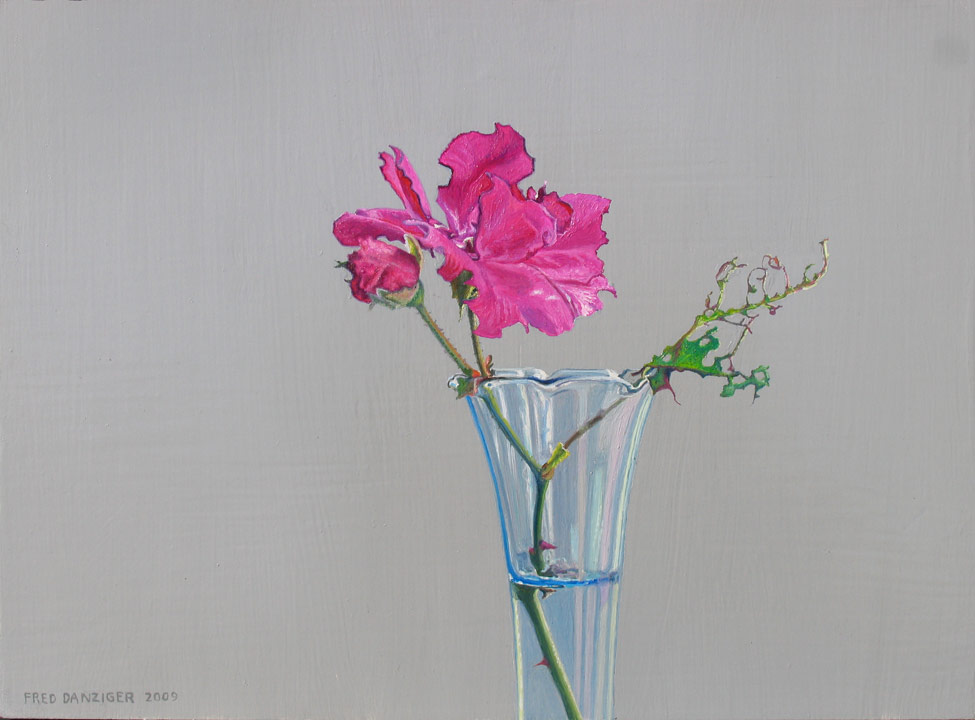 a November rose hangs on and blooms in spite of all!