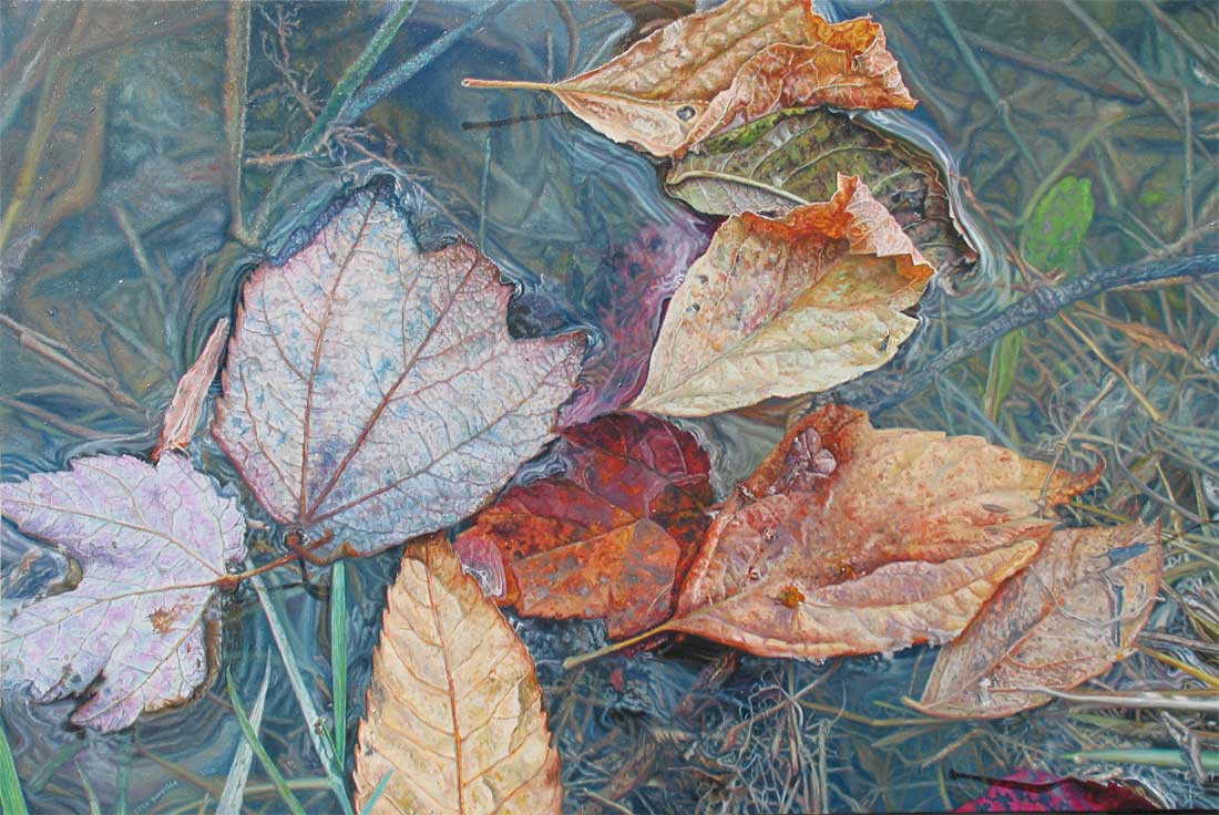 leaves drift along the stream