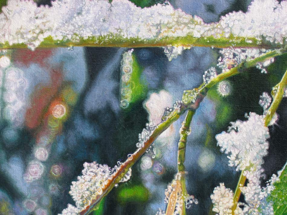 The snow collected on bamboo