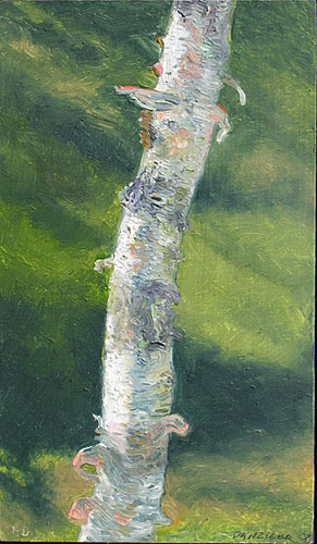 White Birch study