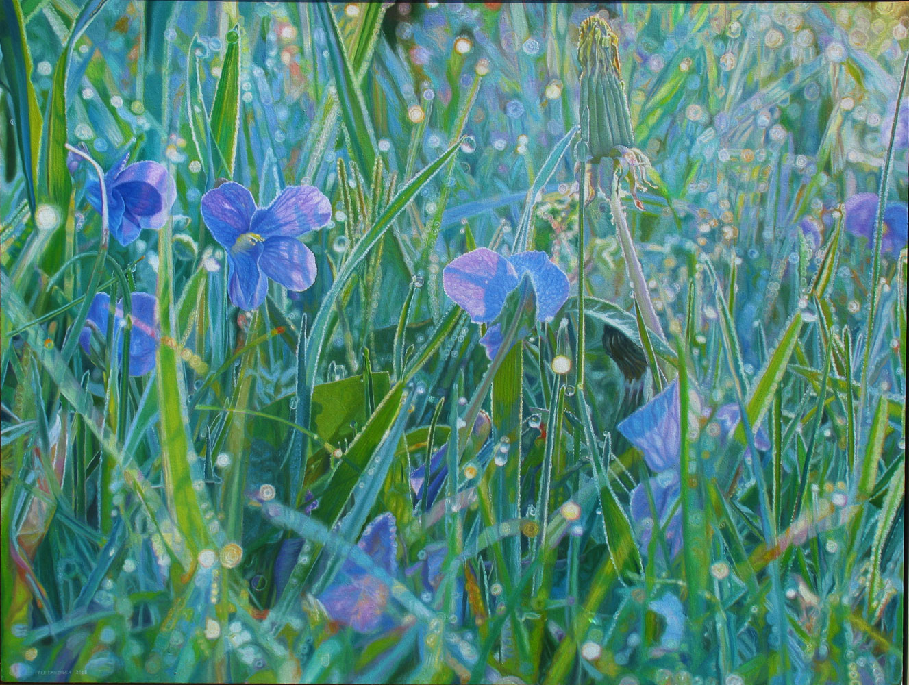 Dew shines in the morning grass