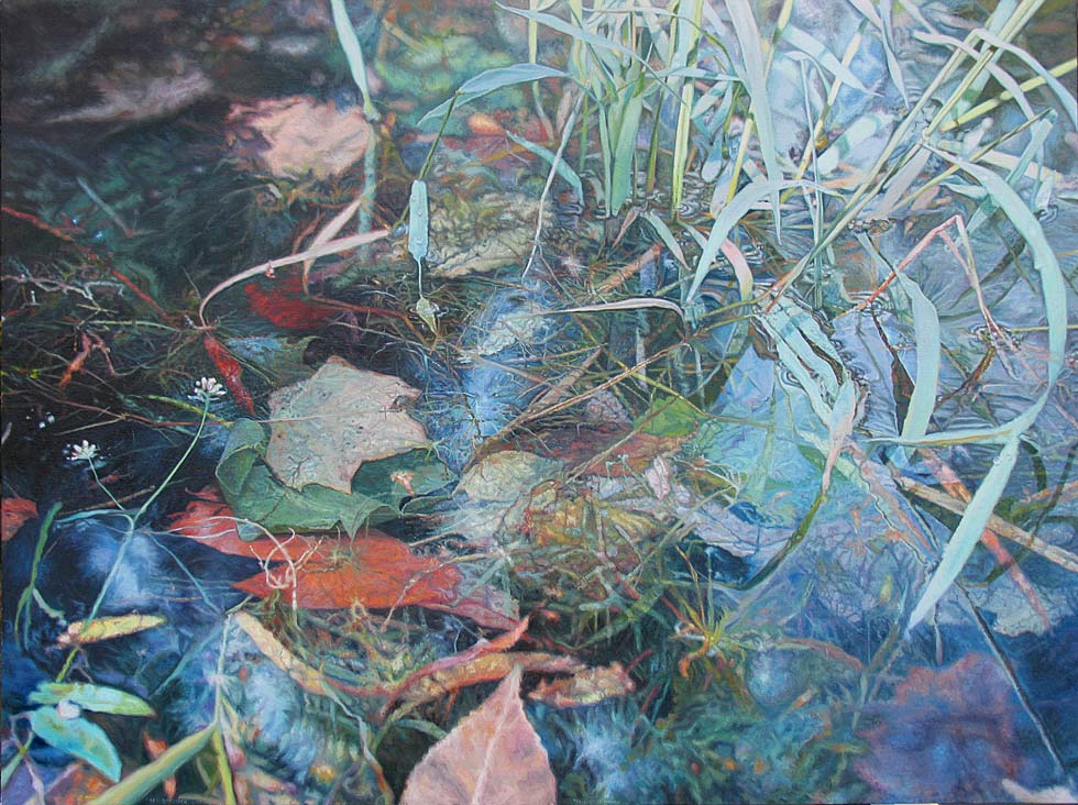 The world of a simple pond's edge