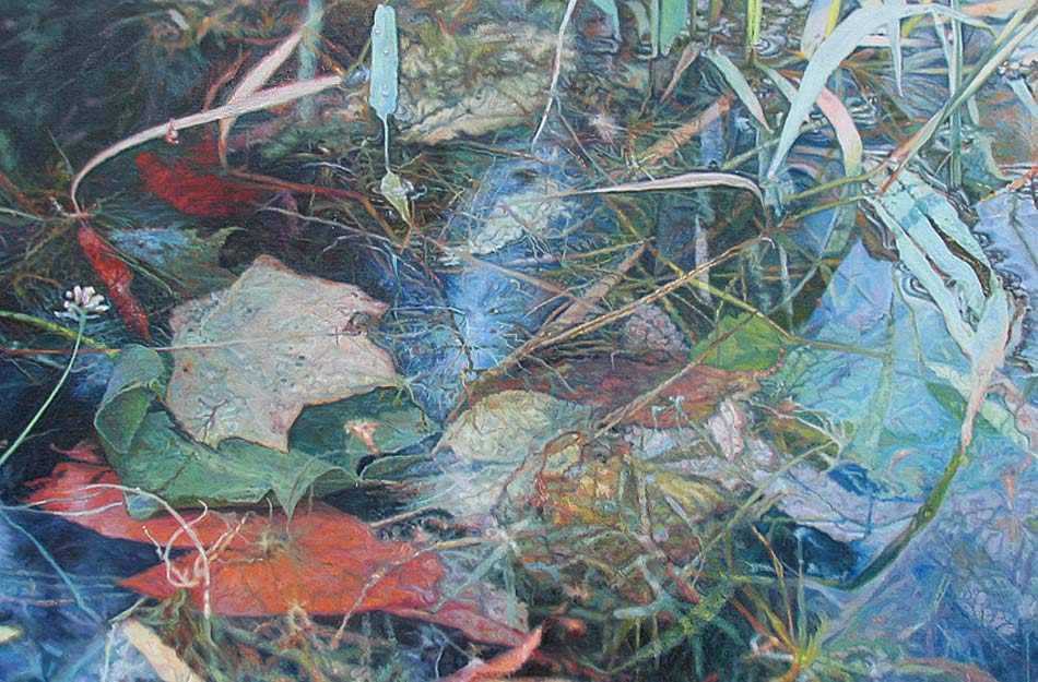 The world of a simple pond's edge