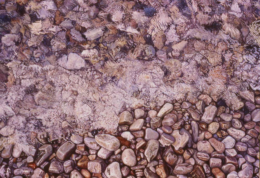 at the edge of Lake Erie