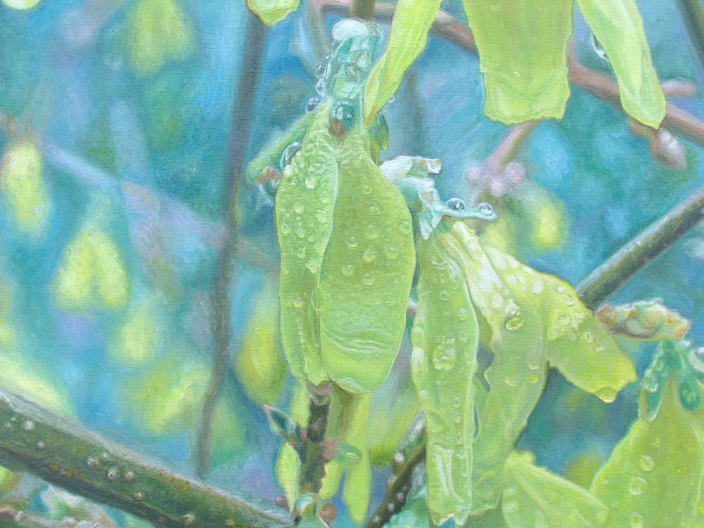 Forsythia in the Rain