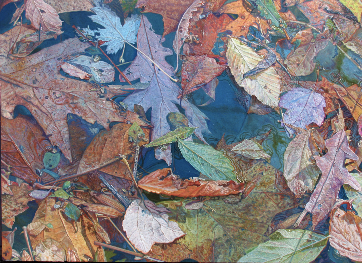 leaves drift along the stream