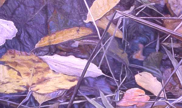 at the edge of a pond