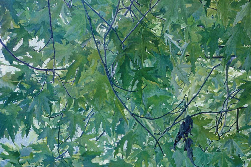 Miracle of the Leaves