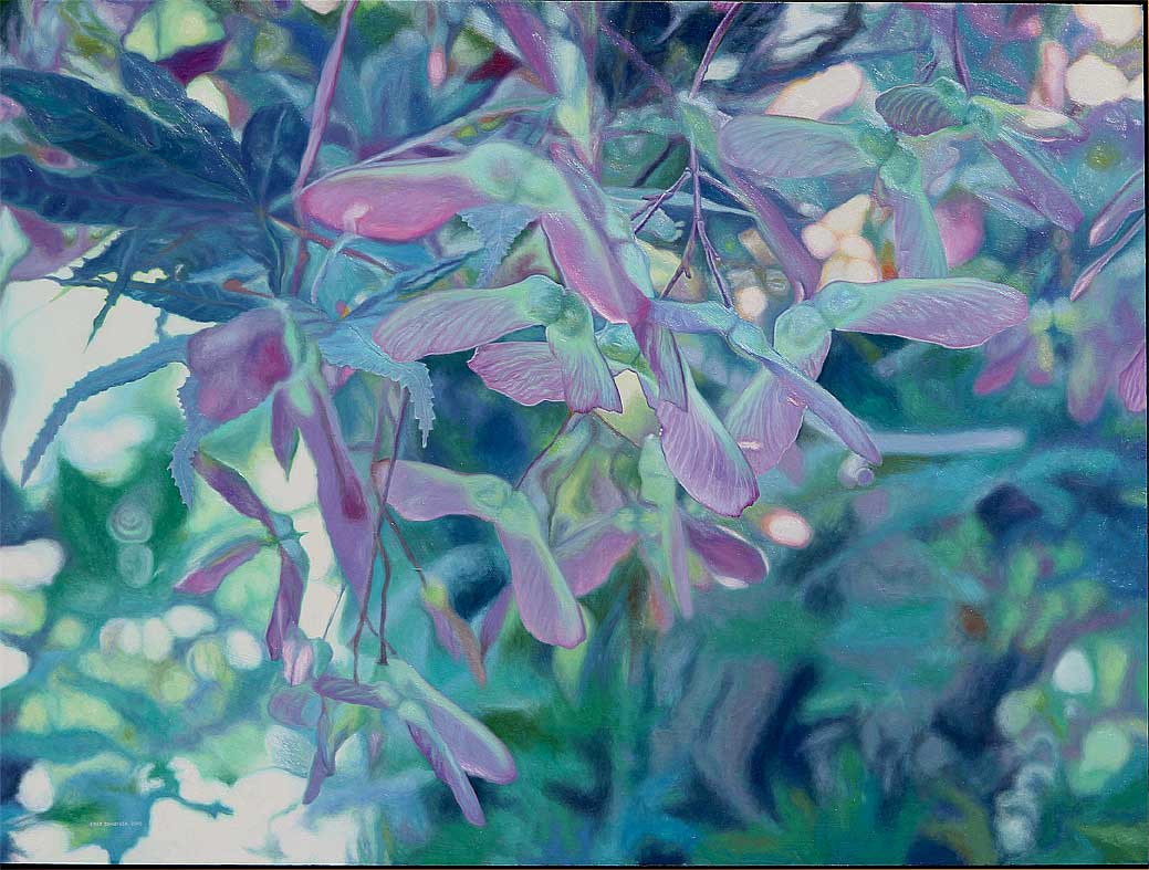 The maple seeds are ready