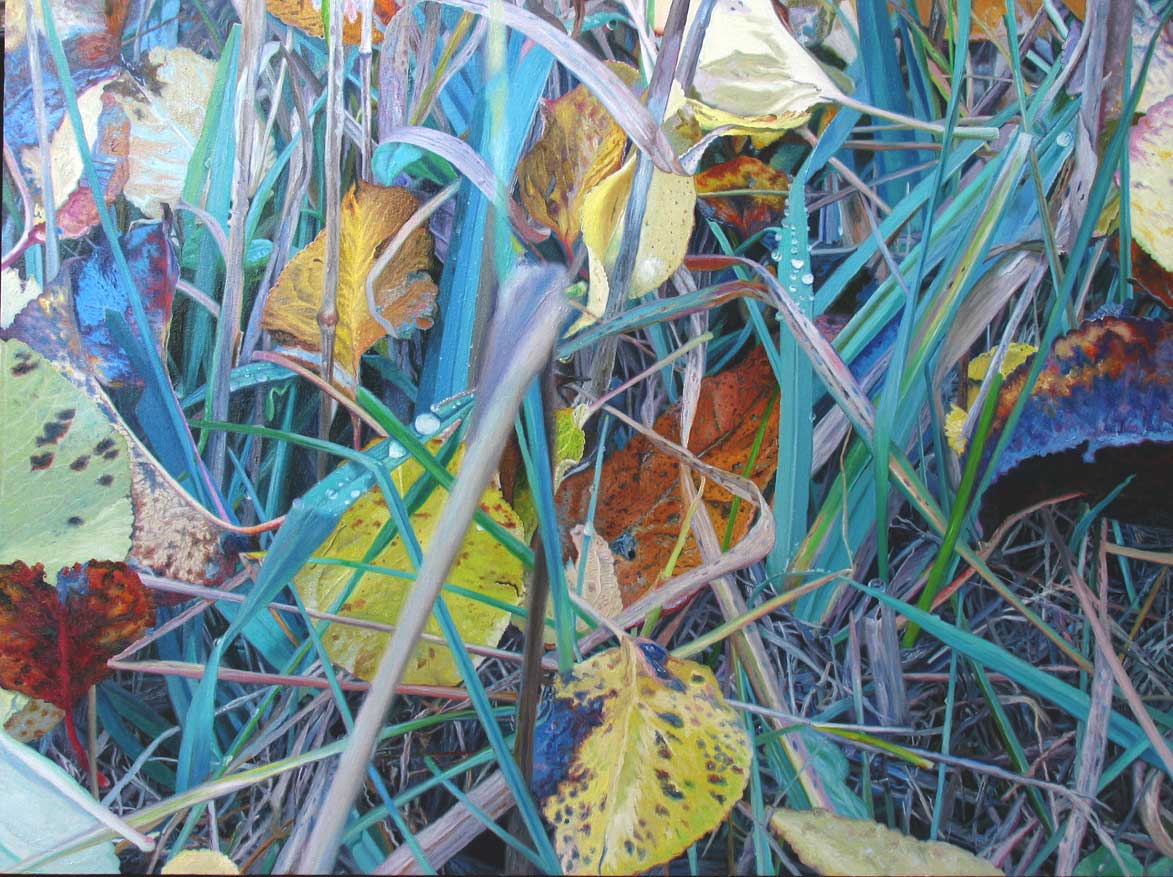 a close look, while walking in the fall