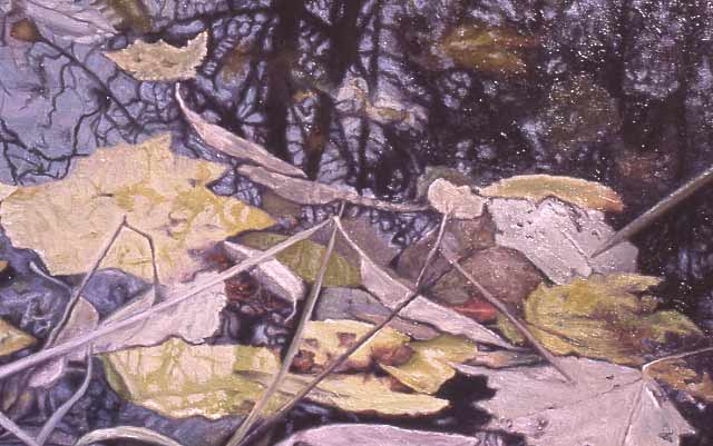 mirror of pond with leaves