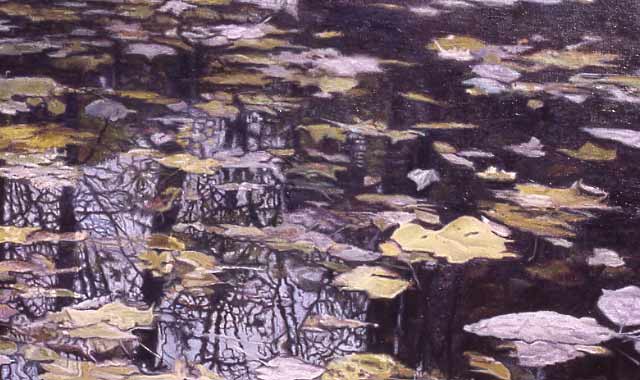 mirror of pond with leaves