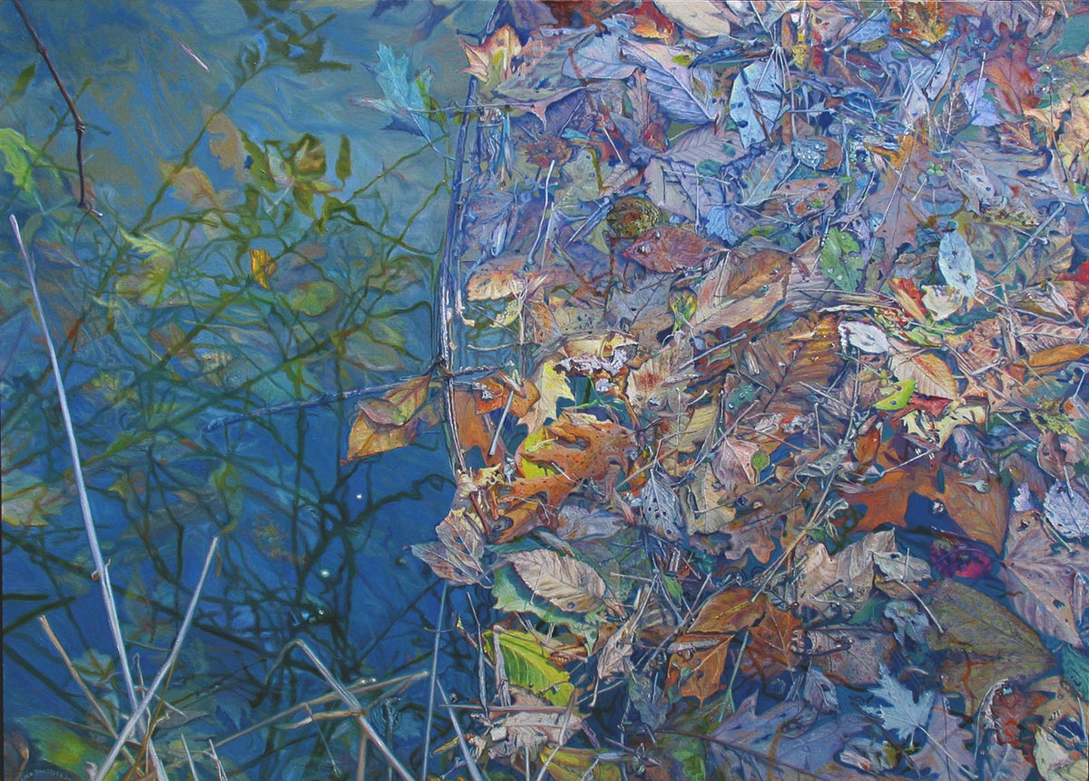 in the creek, leaves collect on a branch