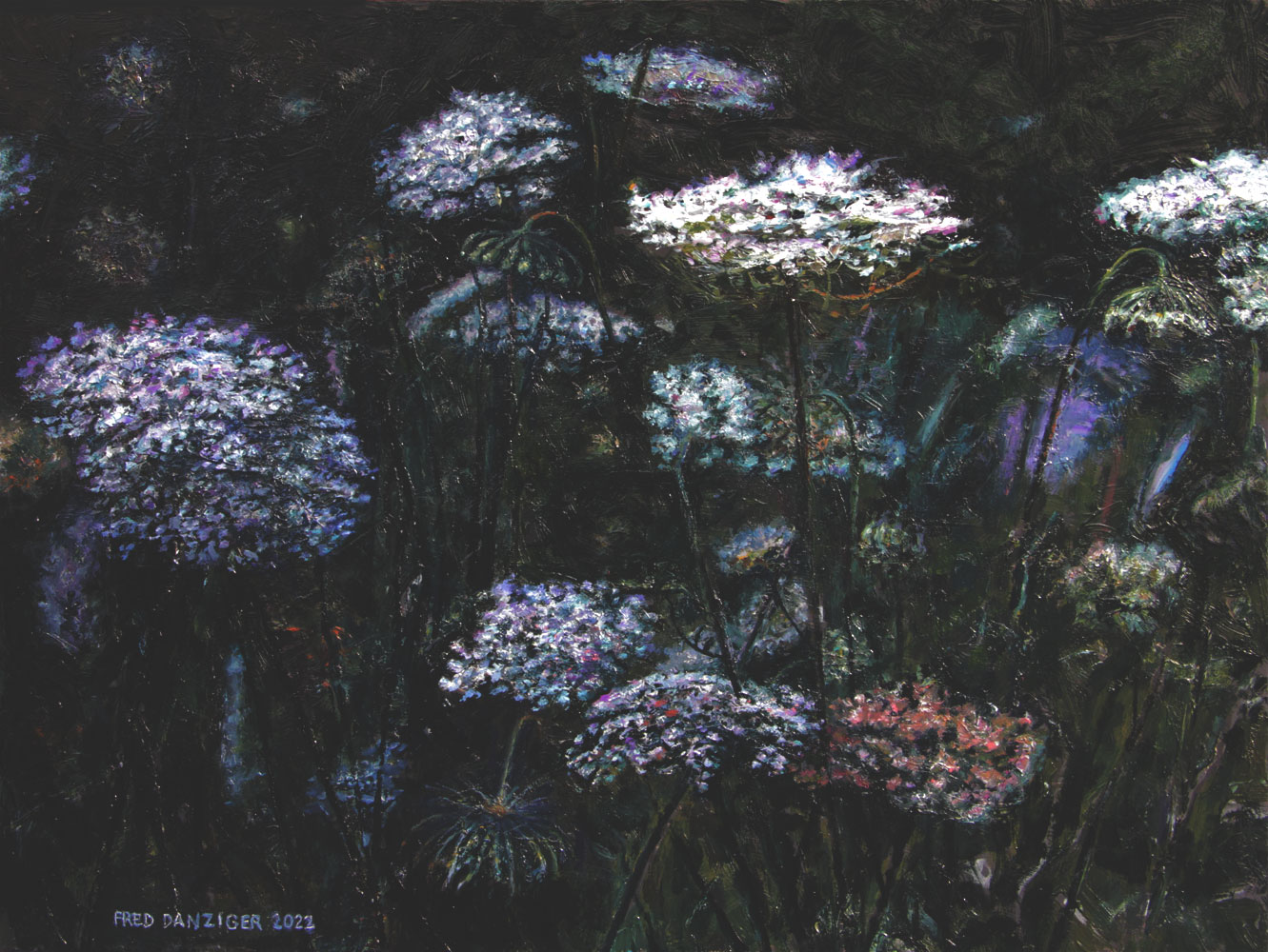 Flowers in moonlight, Maine